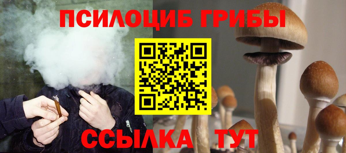 Псилоцибиновые грибы Psilocybine cubensis Минеральные Воды